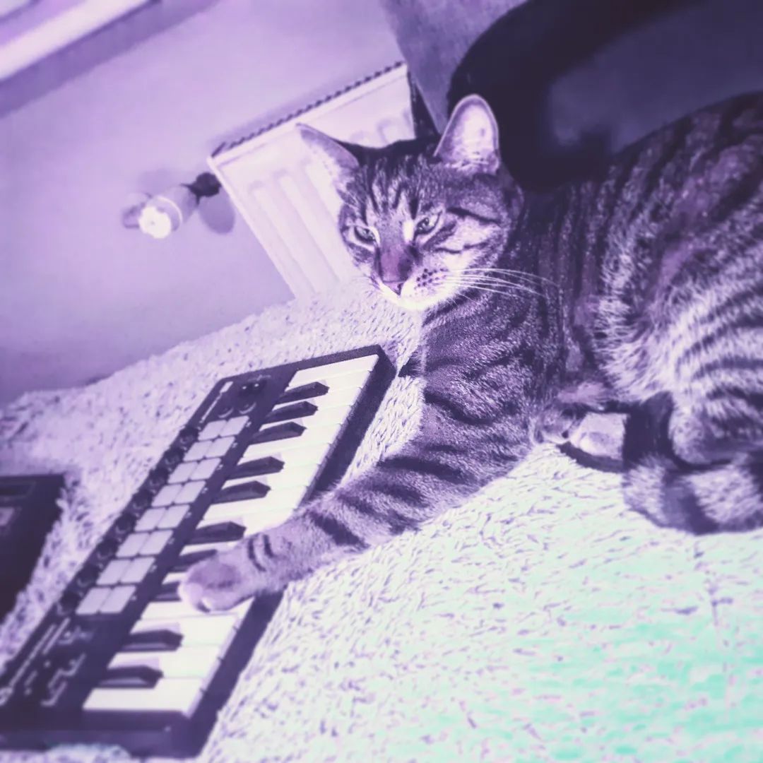 BeatPoint